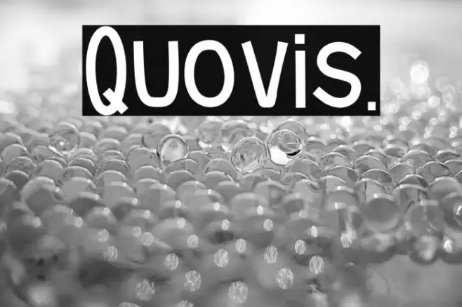 Quovis. Font examples