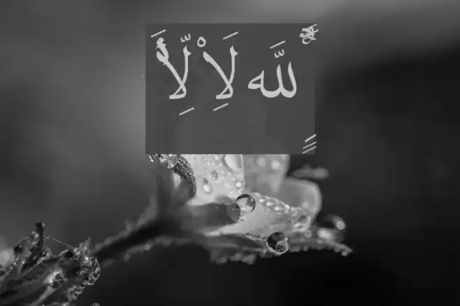 Quran Madina. Font examples