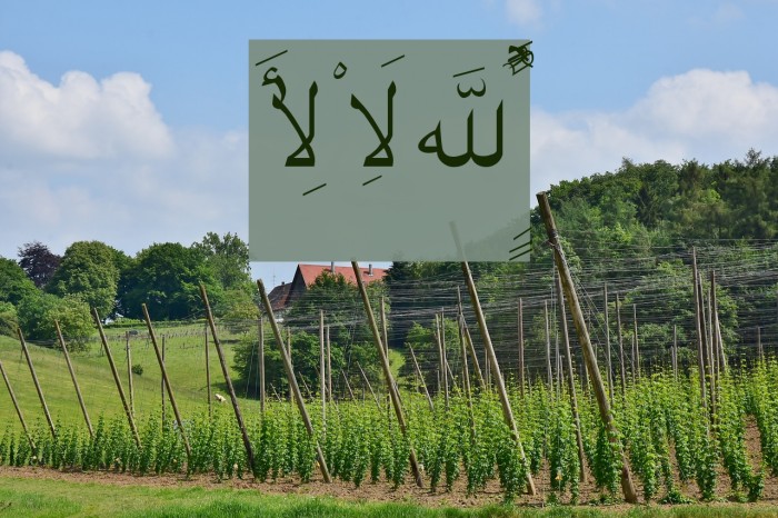 Quran Standard Font examples