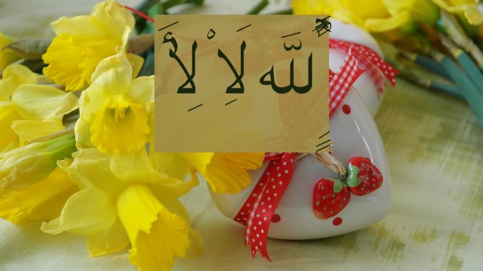 Quran Standard Font examples