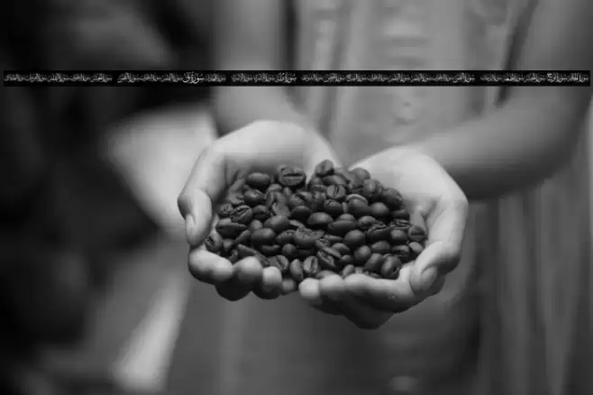 Quran karim 114 elharrak fonts Font examples