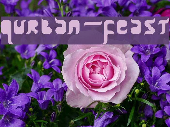 Qurban-Feast Example 3