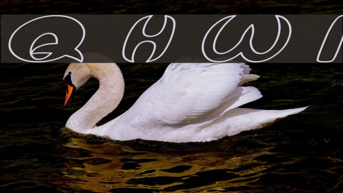 Qurve Hollow Wide Italic Font examples