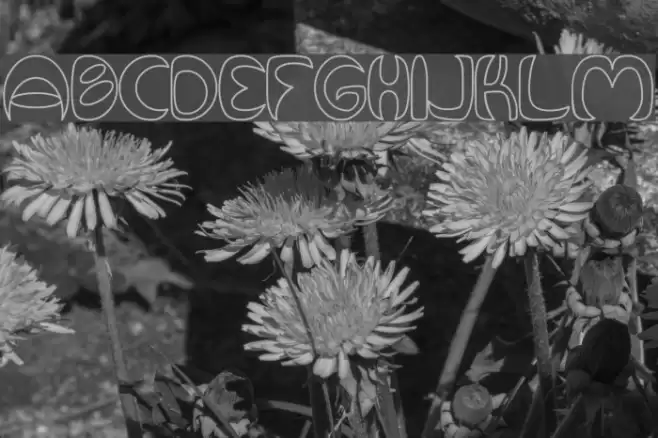 Qurve Hollow Font examples