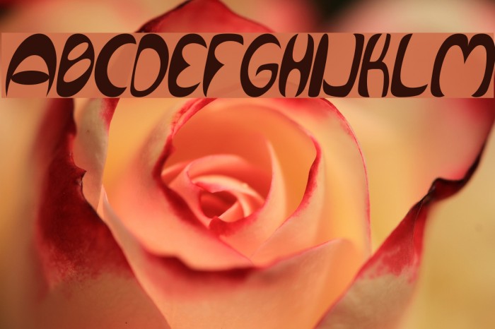 Qurve Thin Italic Font examples