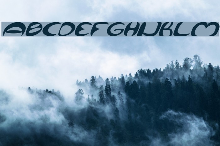 Qurve Wide Italic Example 1