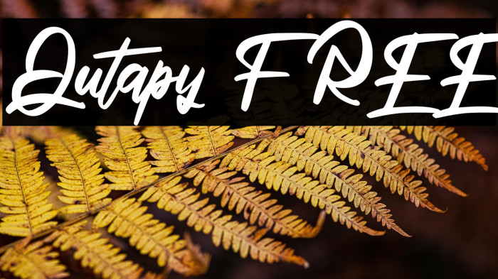 Qutapy FREE Example 2