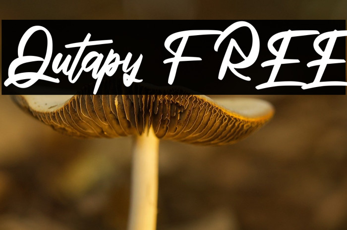 Qutapy FREE Example 3