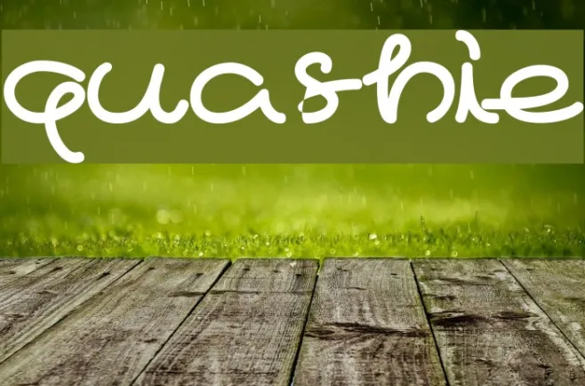 quashie Example 3