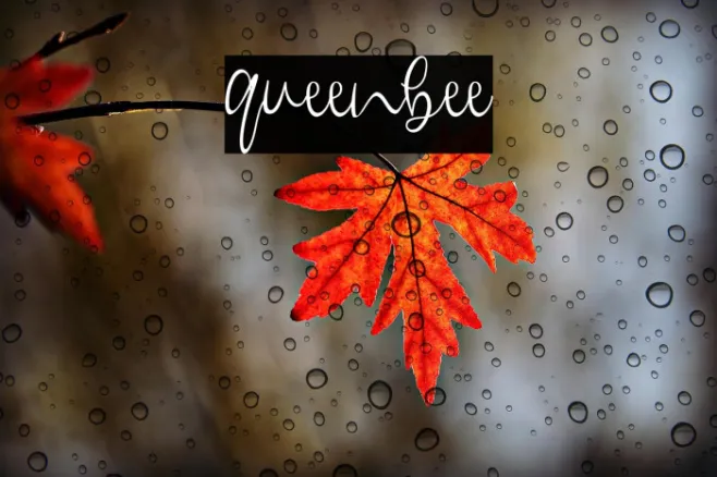 queenbee Example 2