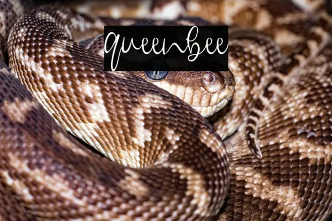 queenbee Example 3