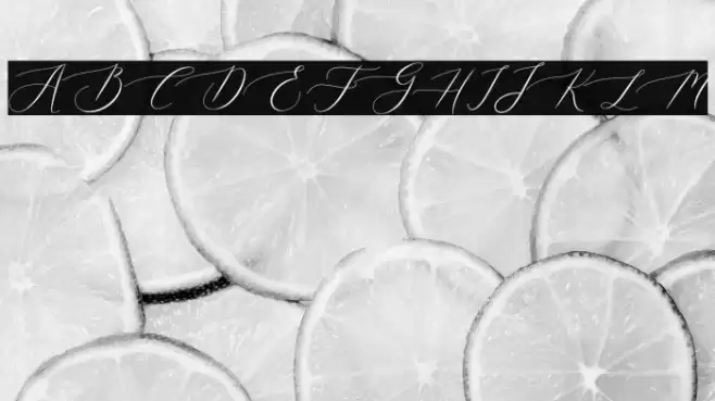 queenland Font examples