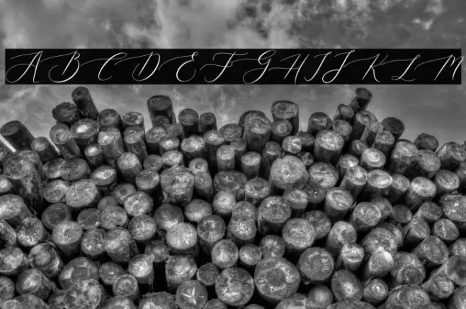 queenland Font examples