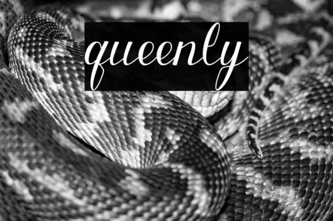 queenly Font examples