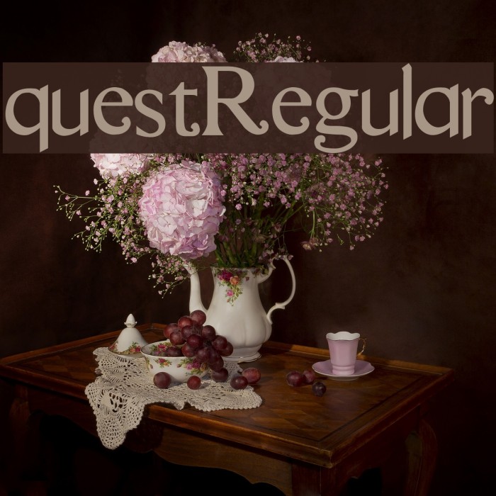 questRegular Font examples