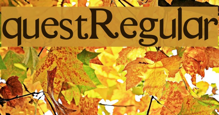 questRegular Font examples