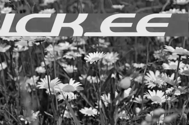 quick express フォント examples