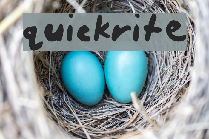 quickrite Font examples
