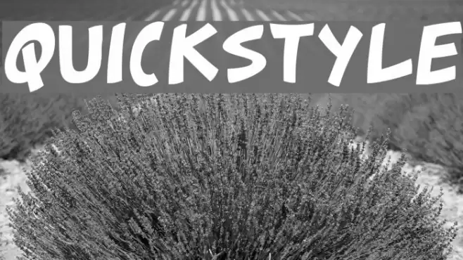 quickstyle Font examples