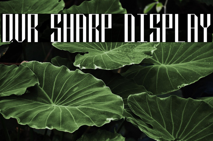 QVR Sharp Display Example 3