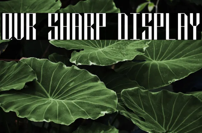 QVR Sharp Display Example 3