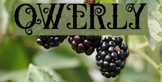 QWERLY Example 3