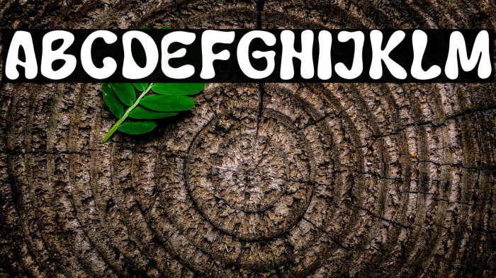 Qweny Check Example 3