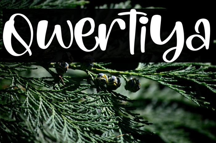 Qwertiya Example 1