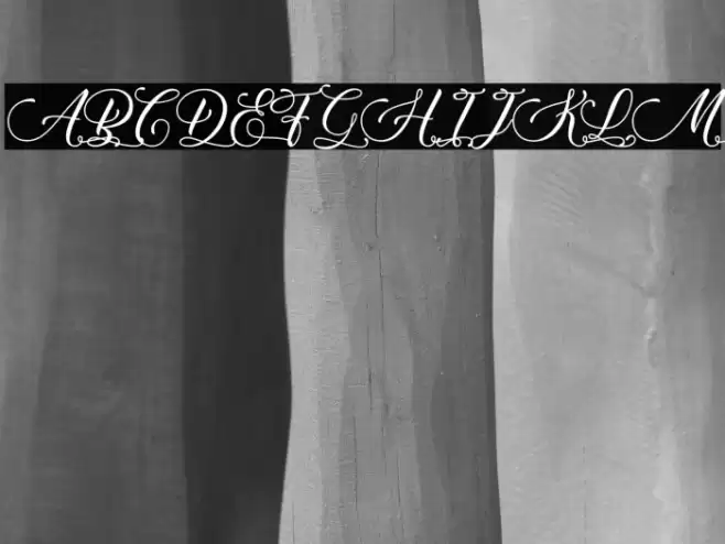 Qwerty Ability - Personal Use Font examples