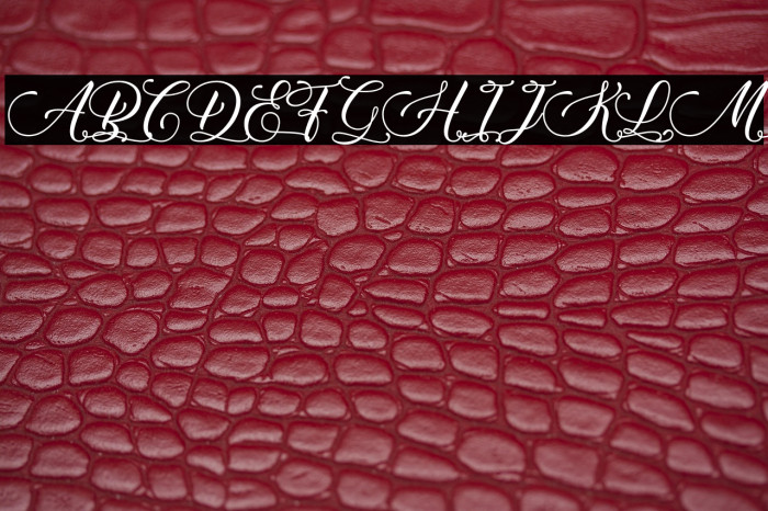 Qwerty Ability - Personal Use Example 2