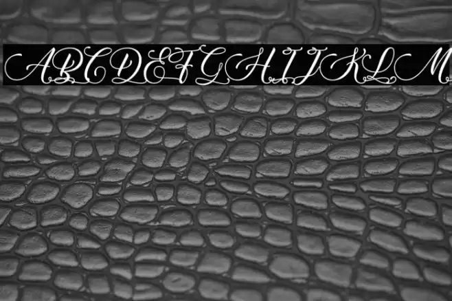 Qwerty Ability - Personal Use Font examples