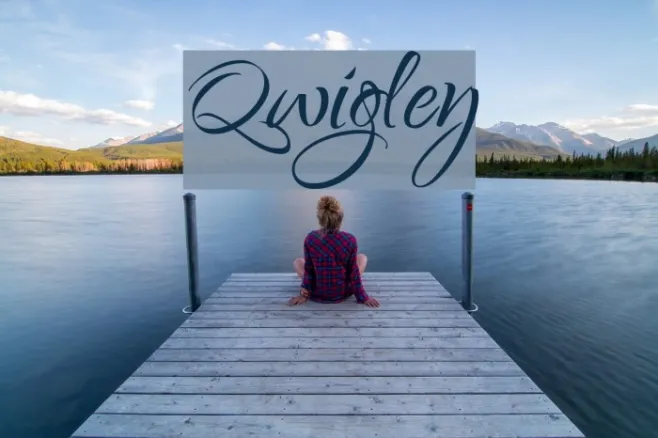 Qwigley Example 2
