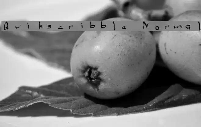 Qwikscribble Normal Font examples