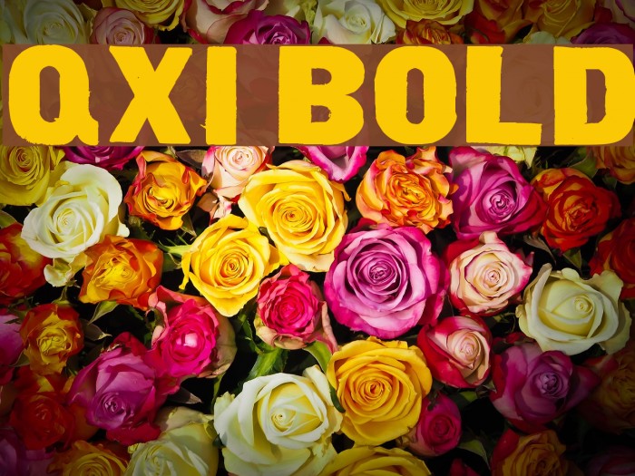 qxi Bold Font examples