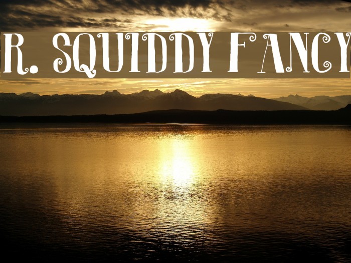 r-squiddy-fancy-font-ffonts