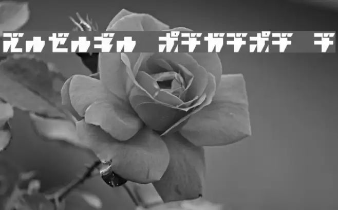 R.P.G. KATAKANA 字体 examples