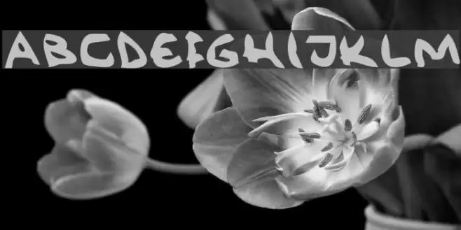 Rövkräm Font examples