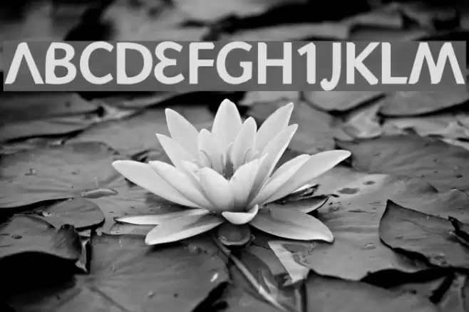 Rövpåle Tjock Font examples