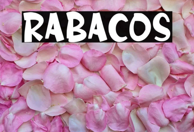 RABACOS Example 1