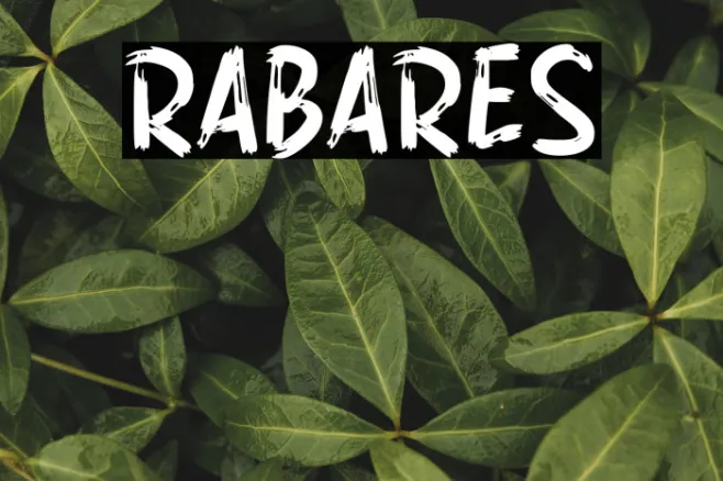 RABARES Example 1