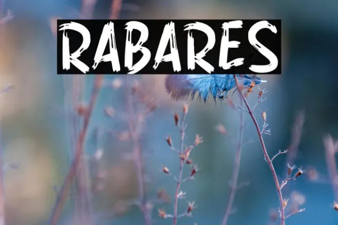 RABARES Example 2