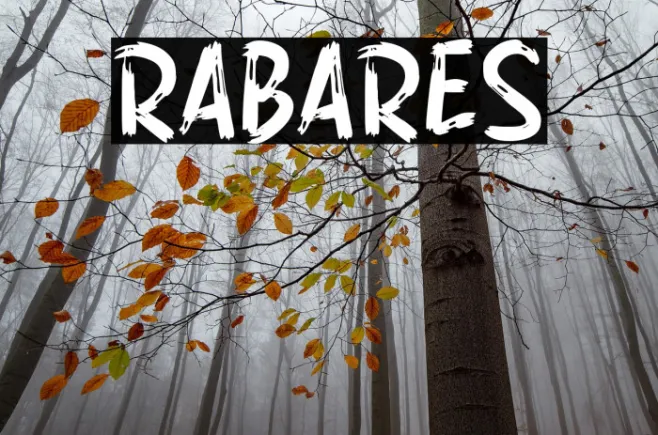 RABARES Example 3