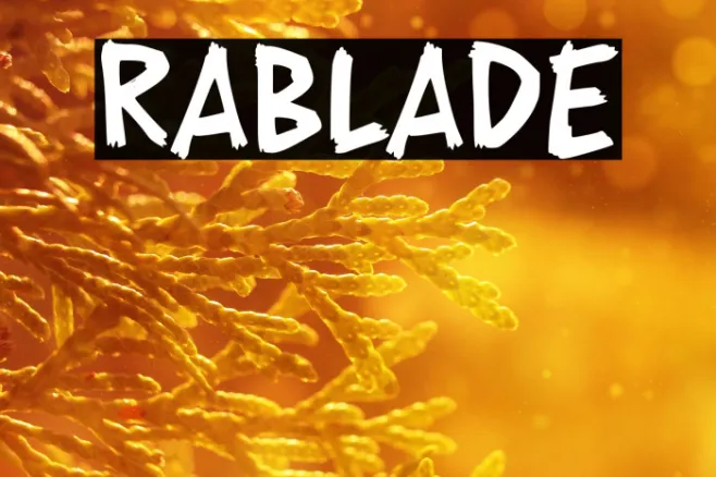 RABLADE Example 2