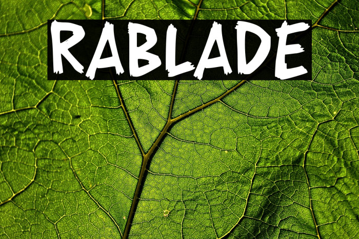 RABLADE Example 3