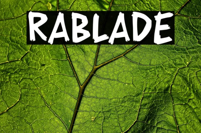 RABLADE Example 3