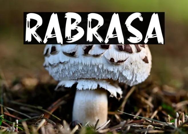 RABRASA Example 2