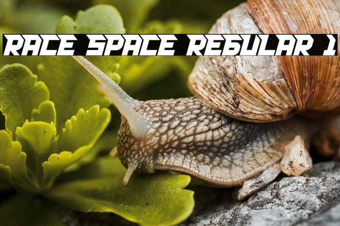 RACE SPACE REGULAR 1 Example 1