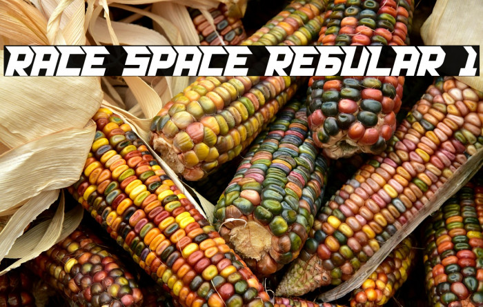 RACE SPACE REGULAR 1 Example 2