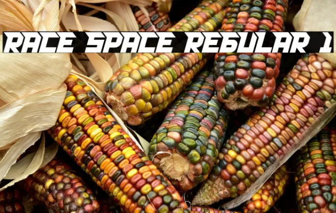 RACE SPACE REGULAR 1 Example 2