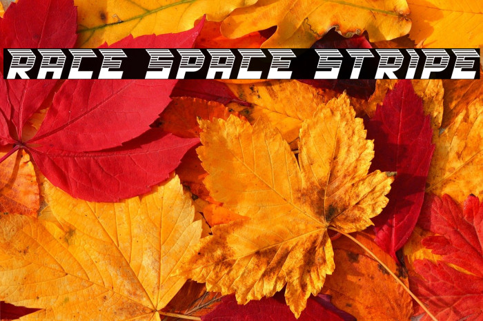 RACE SPACE STRIPE Example 1